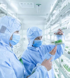 黄瓜下载APP最新版官方下载技術