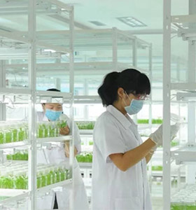 黄瓜下载APP最新版官方下载儀器