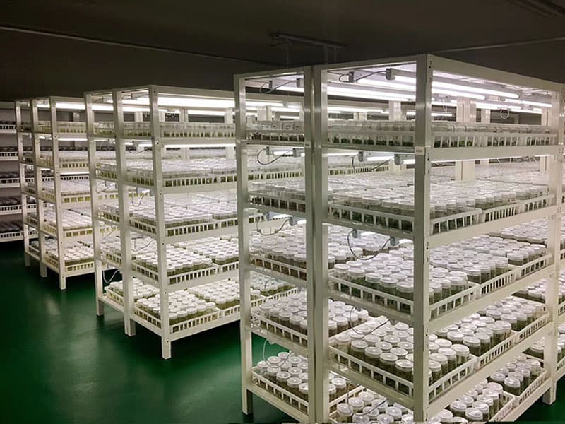 黄瓜下载APP最新版官方下载  黄瓜下载APP最新版官方下载架