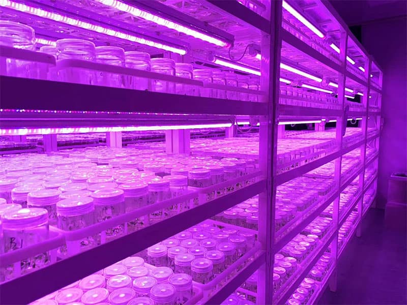 黄瓜下载APP最新版官方下载
