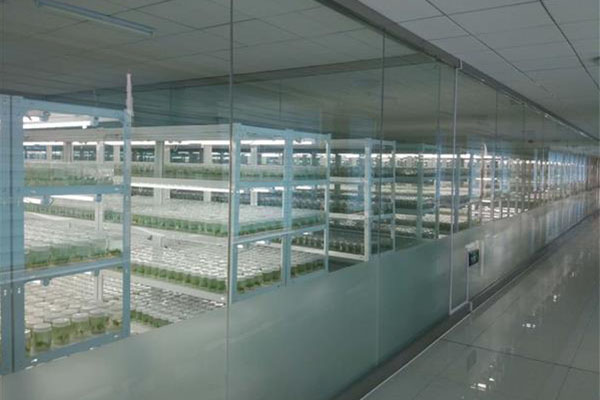 黄瓜下载APP最新版官方下载室