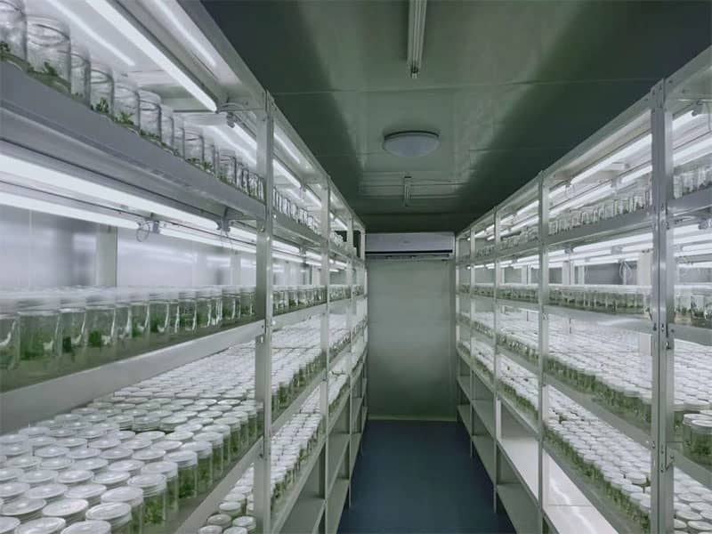 黄瓜下载APP最新版官方下载  黄瓜下载APP最新版官方下载設備  植物黄瓜下载APP最新版官方下载