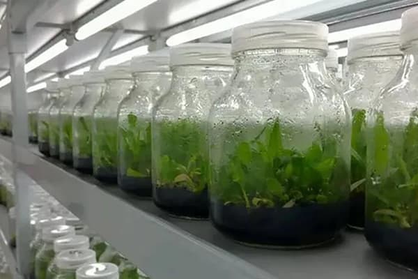 黄瓜下载APP最新版官方下载設備