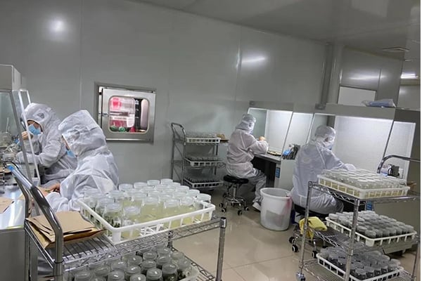 黄瓜下载APP最新版官方下载